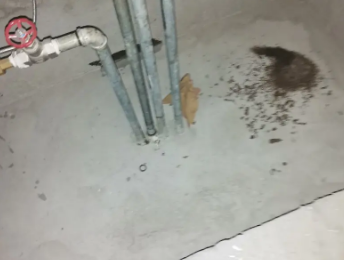 托克托卫生间测漏水价格明细