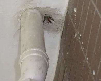 托克托漏水检测哪家好